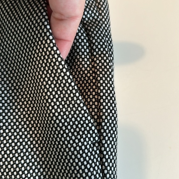 Ann Taylor Factory crop pan, size 10P - Picture 2 of 7